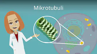 Mikrotubuli