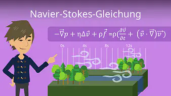 Navier Stokes Gleichung