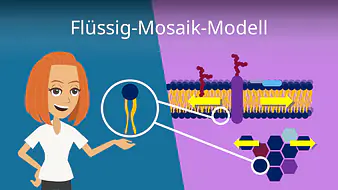 Flüssig Mosaik Modell