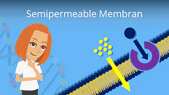 Semipermeable Membran