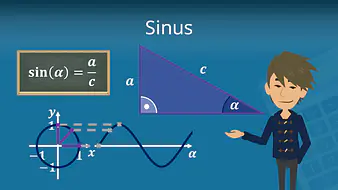 Sinus