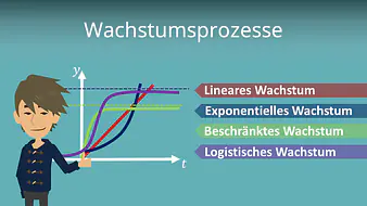Wachstumsprozesse