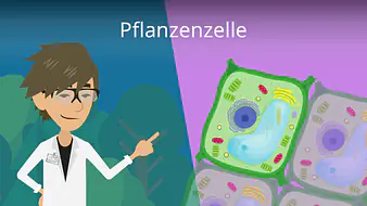 Pflanzenzelle