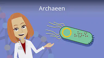 Archaeen