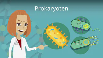 Prokaryoten