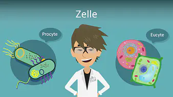 Zelle 