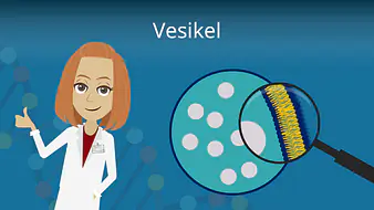 Vesikel