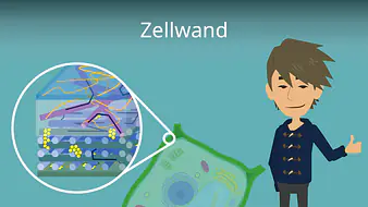 Zellwand
