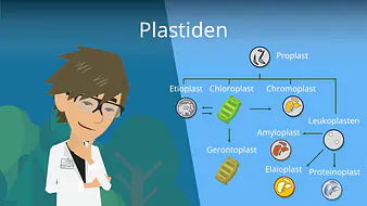 Plastiden