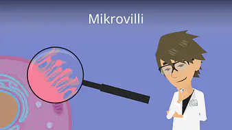Mikrovilli