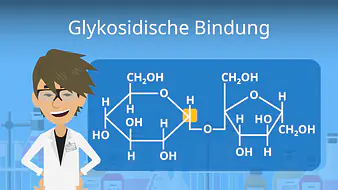 Glykosidische Bindung