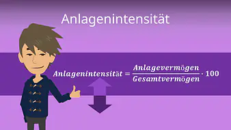 Anlagenintensität