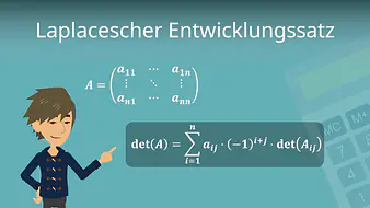 Laplacescher Entwicklungssatz
