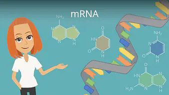 mRNA
