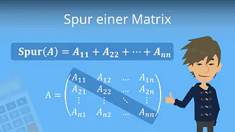 Spur einer Matrix