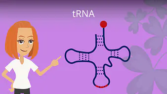 tRNA