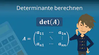 Determinante berechnen