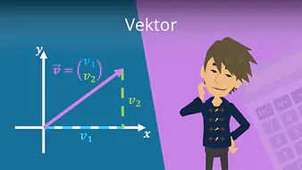 Vektor