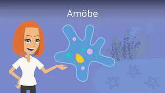 Amöbe
