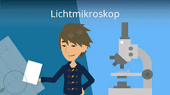 Lichtmikroskop