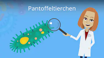 Pantoffeltierchen
