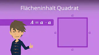 Flächeninhalt Quadrat