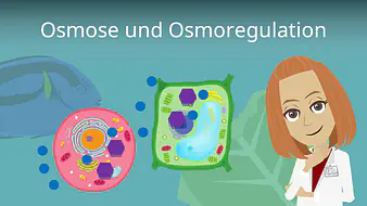 Osmose und Osmoregulation