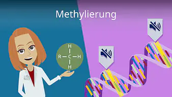 Methylierung