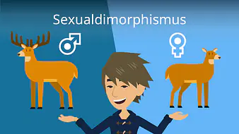 Sexualdimorphismus