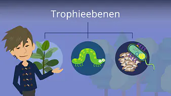Trophieebenen