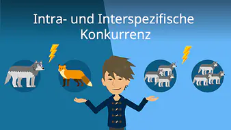 Intra- und interspezifische Konkurrenz