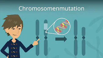 Chromosomenmutation
