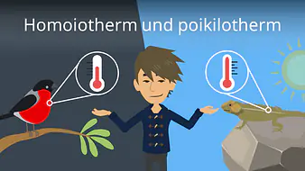 Homoiotherm und poikilotherm