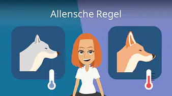 Allensche Regel