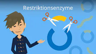 Restriktionsenzyme