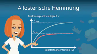 Allosterische Hemmung