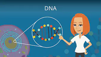 DNA - Desoxyribonukleinsäure
