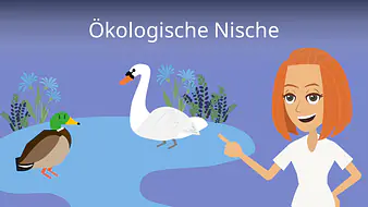 Ökologische Nische
