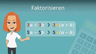 Faktorisieren