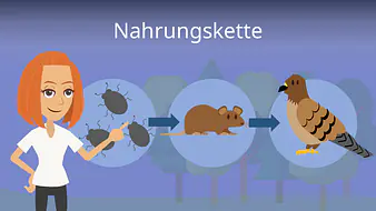 Nahrungskette