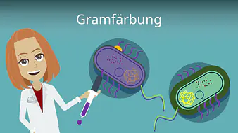 Gramfärbung