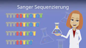 Sanger Sequenzierung