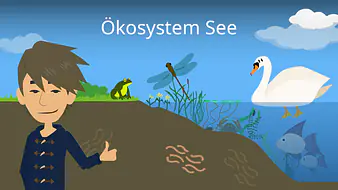 Ökosystem See
