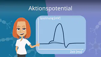 Aktionspotential