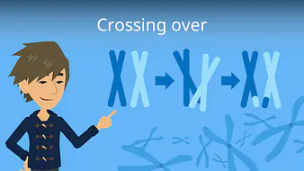 Crossing over