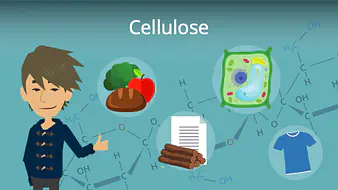 Cellulose