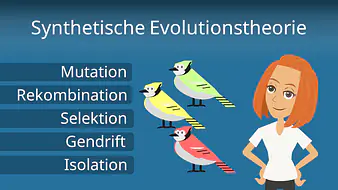 Synthetische Evolutionstheorie