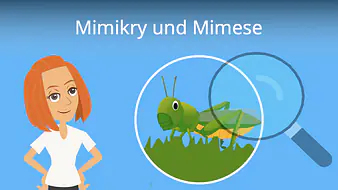 Mimikry und Mimese