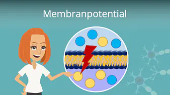 Membranpotential