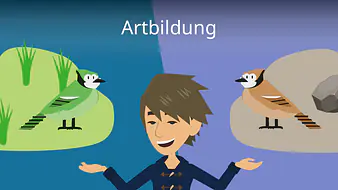 Artbildung